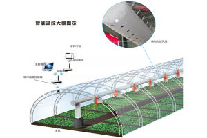 智能温控大棚
